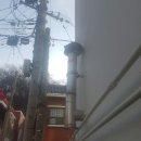 하단동1035 이미지