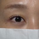 미쁨네일 - 제주시 | 울산 북구 화동봉속눈썹펌 잘하는곳 미쁨 방문후기