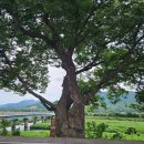 동락가든 이미지