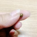 강남다이어트환 "한의원 식욕억제제 / 레이디환" 3개월째 후기