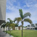 부자유통 | 👶19개월 아기와 함께하는 세번째 해외여행! 첨벙첨벙 세부여행 - 5일차: 오후) 여러모로 아쉬웠던 라온...