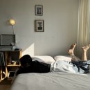 그림으로 한권에 담는 나의 여행 그림 일기 | [군산] 편안하고 힐링이 되는 숙소ㅣ카도스테이