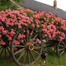 서울자동차정비공장 이미지