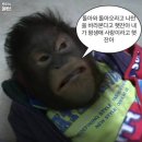 창진카서비스 | fine thank you and you?