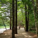 교동초 앞 삼거리 이미지