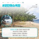 충남 태안 용신마을