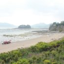 서포비치 이미지