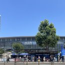 바른댕댕 애견유치원 이미지