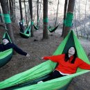 숲 걷기 명상 이미지