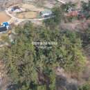 토지한방공인중개사사무소 이미지