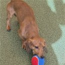 해피주 수원점 이미지