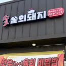 숯솥의돼지