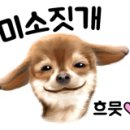 개랑놀아주는남자 이미지