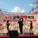 갈매광장 | 💖 뜨거운 열기! 제1회 갈매상생축제 현장 스케치