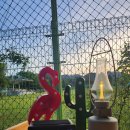 구정체육공원 이미지