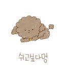 몽이애견미용 이미지