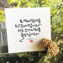흥신 Daum카페