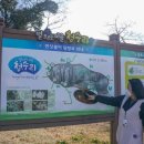 초록마을제주 - 서귀포시 영어도시로 61 | 초록마을제주