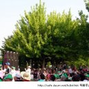 상록노인복지회관 이미지