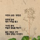 자연의 순환 네이버블로그