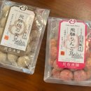 B.K 소프트 | 나고야 여행 시라카와고 다카야마 K-guide 버스 투어 내돈내산 후기