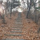 (인천) 만월산,거마산, 성주산 등 계단, 다리 이미지