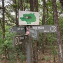 노을이내리는뜰