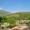 아스테리아펜션 이미지