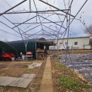 부길농장 이미지