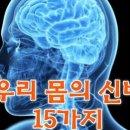 우리 몸의 신비 15가지 이미지