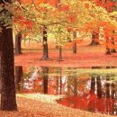 김동규 10월의 어느 멋진 날에 이미지