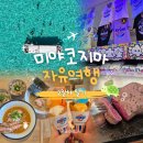 산호세탁전문 | [미야코지마 자유여행] 2일차 일기