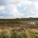 그린 환경 자원 이미지