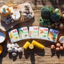 돌이가든 이미지