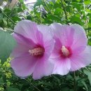 회현파출소 이미지