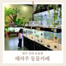 해피주 동물카페 원주점 | 원주실내동물원 해피주 동물카페 입장료와 주차 이용시간 정보