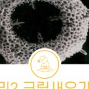 플랑크톤