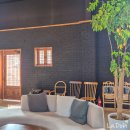 공방 나른한강아지 | 강릉 안목해변 카페 실내 애견 동반 디저트 감자빵 맛집 월량화