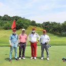 구니구니 이미지