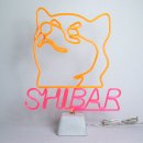 데스크리움] 네온 크리트 핸디온 구매후기_ SHIBAR+강아지