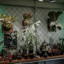 카페 사월오일 이미지