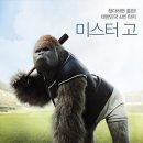 고·집
