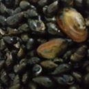 만복건강원 이미지