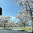 북면상동리 | 카페 (2) 기와 52