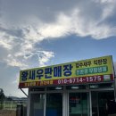 잡수새우 | [아산] 왕새우판매장_잡수새우