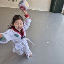 화진 태권도장 이미지