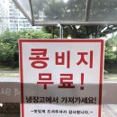 콩밭 뜰 이미지