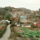 학촌 Daum카페