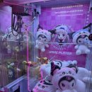 찌꼬뽀꼬 연남점 이미지