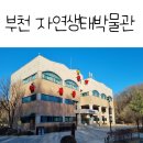 자연생태박물관 이미지